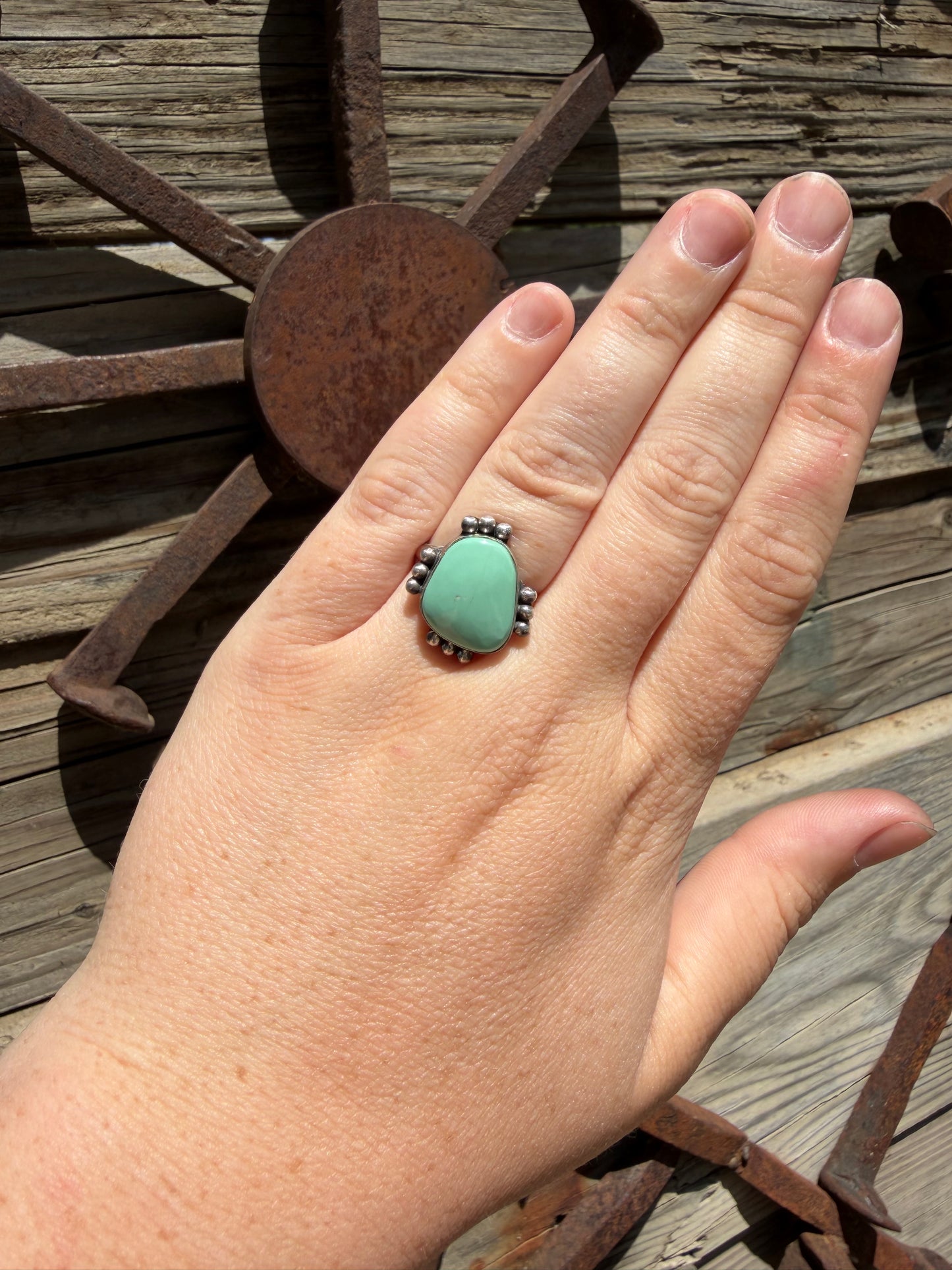 The Roamer Ring