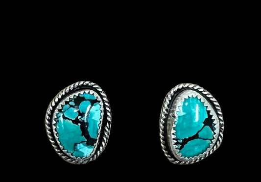 •The Desert Rough Earrings•