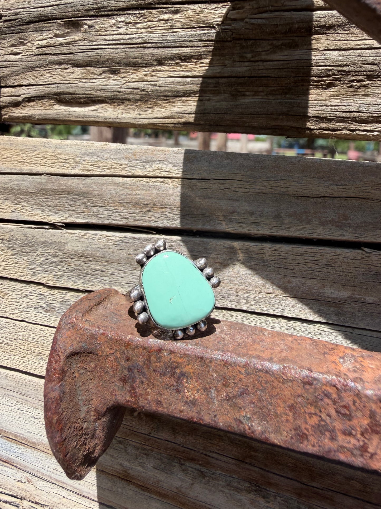 The Roamer Ring