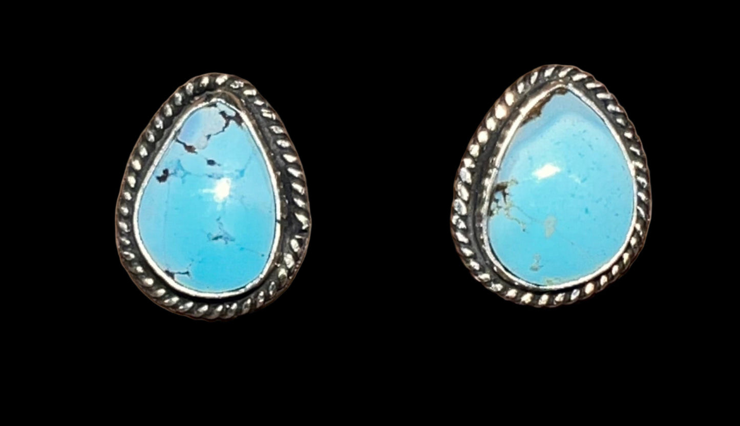 •The Baby Blues Earrings•